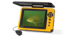Underwater video cameras